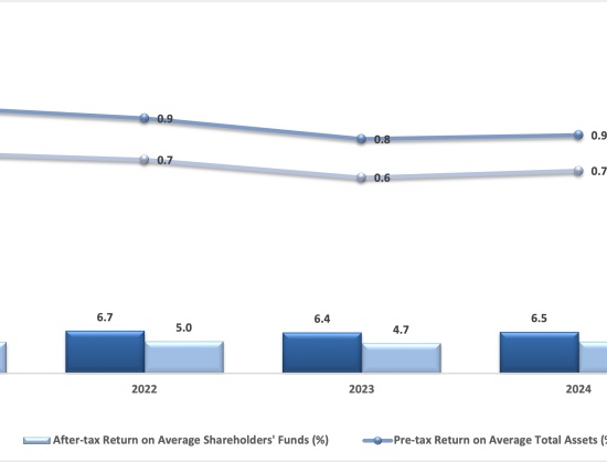 Financial-ratio